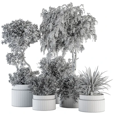 indoor Plant Set 341- Tree and Plant Set in Gray pot — Ver 3