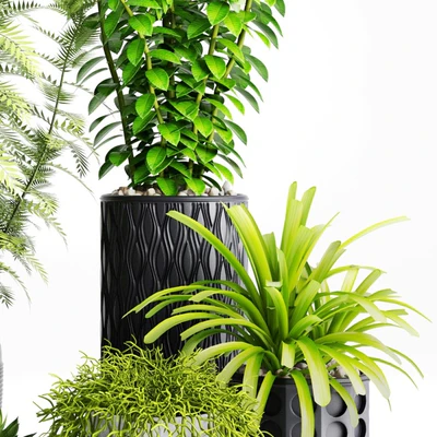 Plants and Planters   5 — Ver 3