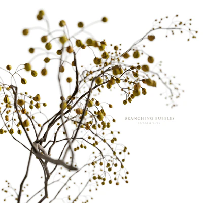 Branching bubbles — Вид 3