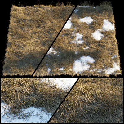 Dry grass | Thaw pollen — Ver 1