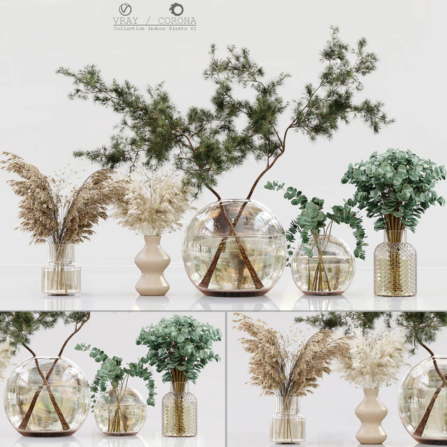 Collaction Indoor Plants 01 — Скачать