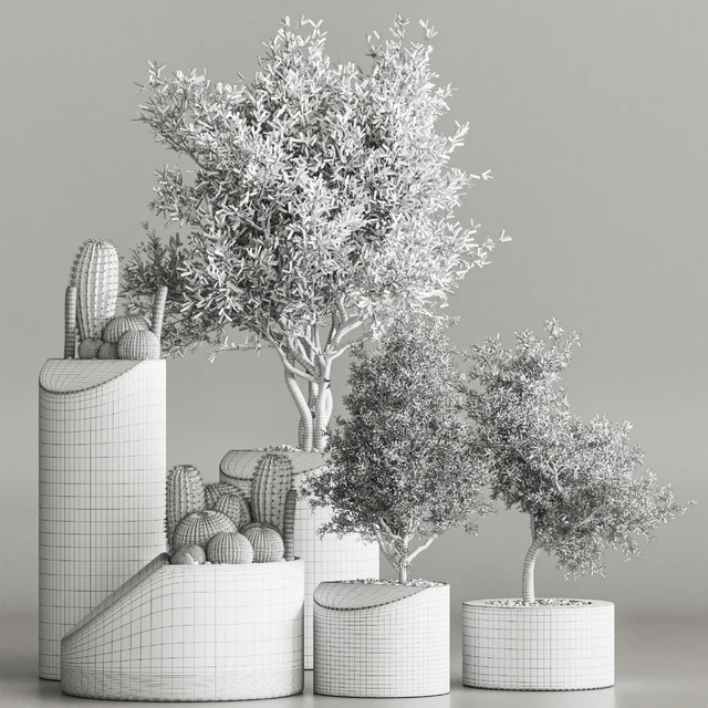 cactus & plant vol 04 — Скачать