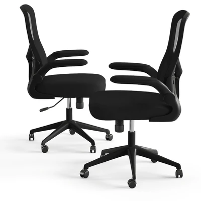Xiaomi HBADA Ergonomic Double-Waisted Computer Chair HDNY163WM — Ver 4