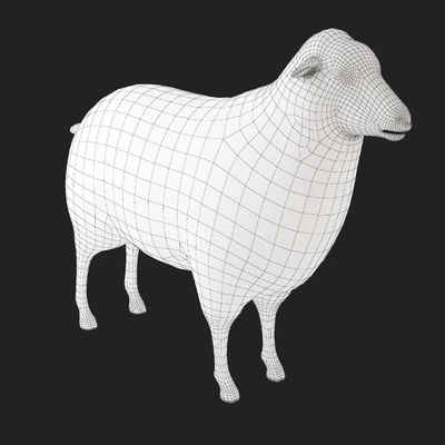 Sheep — Вид 3
