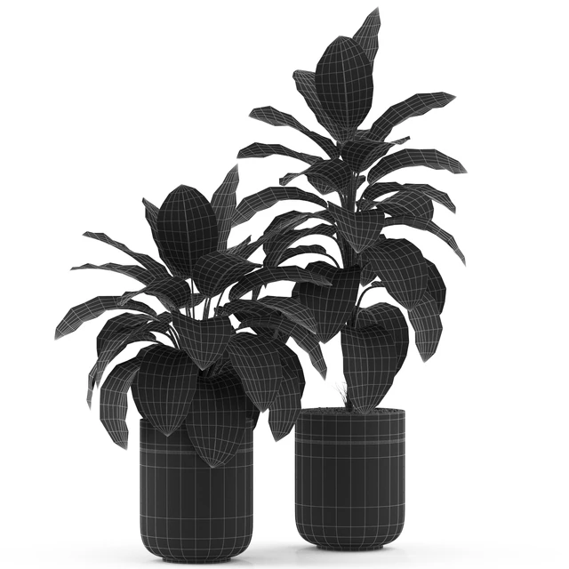 Plants collection 491 — Descargar