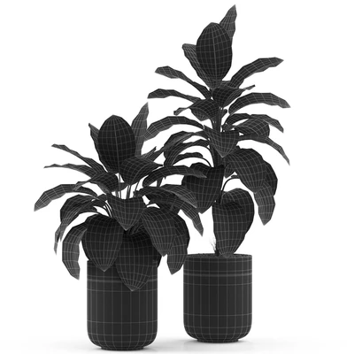 Plants collection 491 — Ver 2