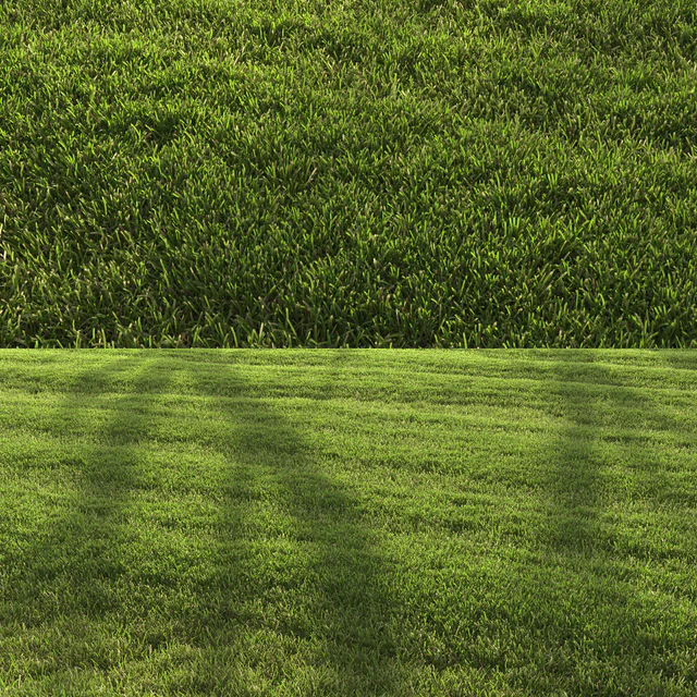 Lawn landscape — Скачать