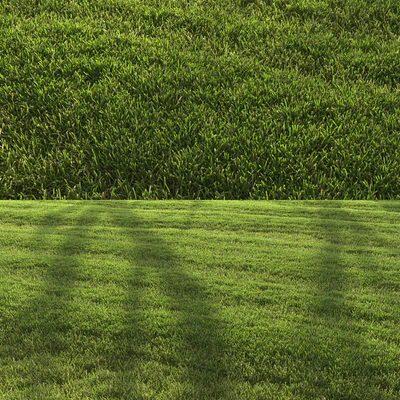 Lawn landscape — Вид 3