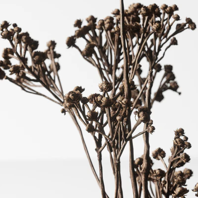 Decorative set 021 with 101 Copenhagen vases — Ver 4