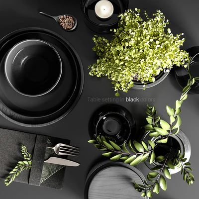 Table setting in black colors — Вид 2