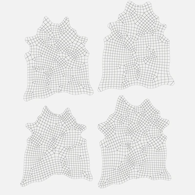 Cow Hide Rug — Ver 3