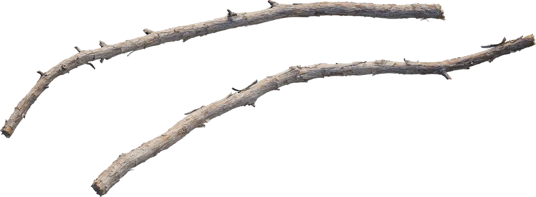 desert western tree branch juniper 003 — Descargar