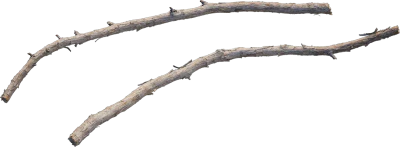 desert western tree branch juniper 003 — Descargar