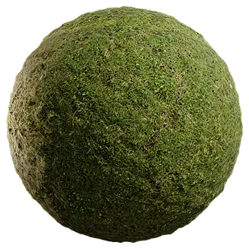wild grass 043 — Скачать