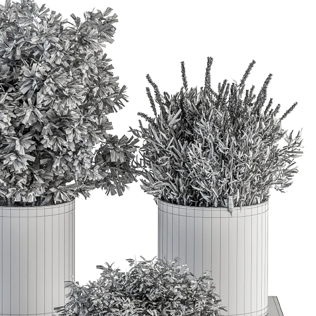 indoor Plant Set 305 - Small Plant pot — Descargar