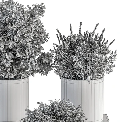 indoor Plant Set 305 - Small Plant pot — Ver 6
