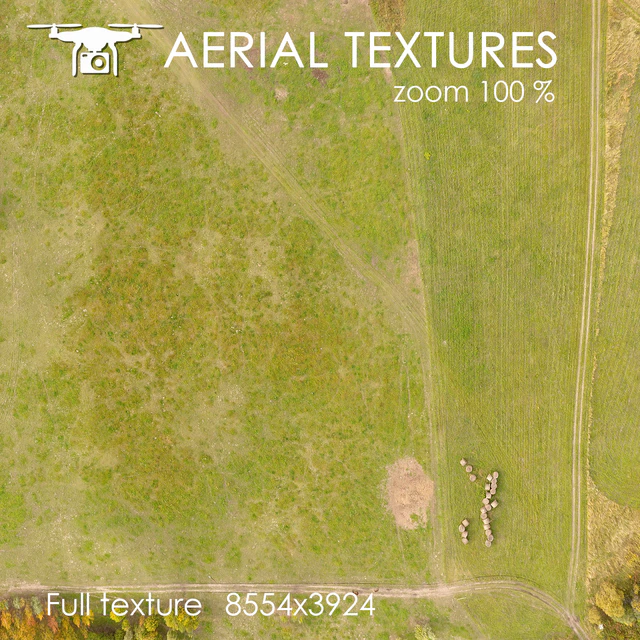 field 161 — Descargar