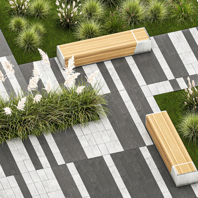 Plants for the urban environment with paving slabs, bench, bench, pampas grass bushes, Cortaderia. 1151. — Descargar