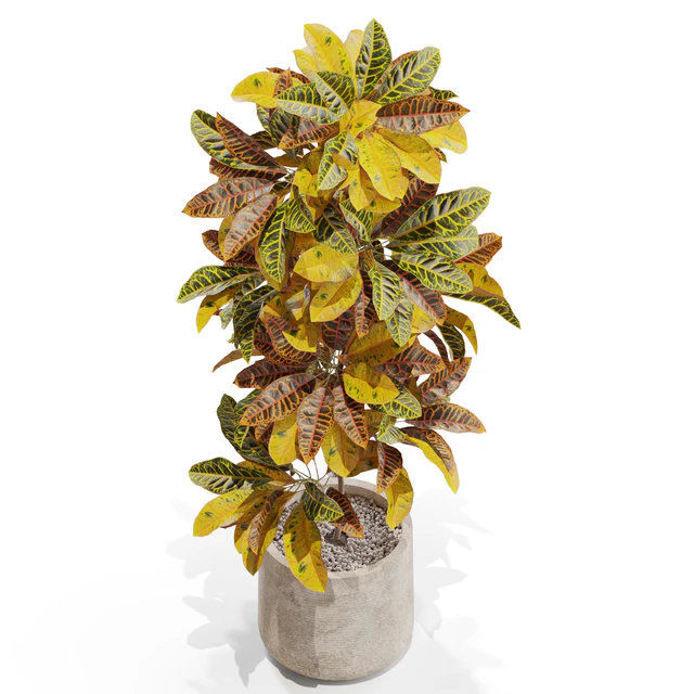 Plants collection 557 — Скачать