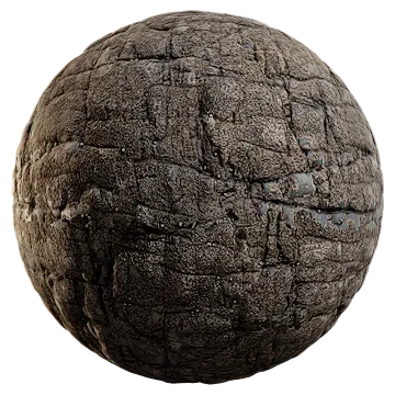 barnacle covered rock 002 — Descargar