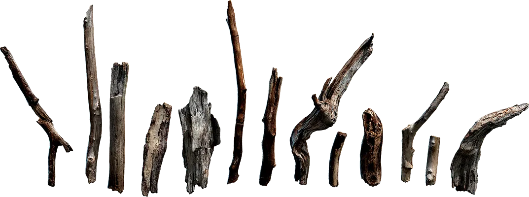 wooden sticks and twigs 001 — Descargar