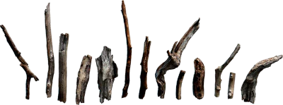 wooden sticks and twigs 001 — Descargar
