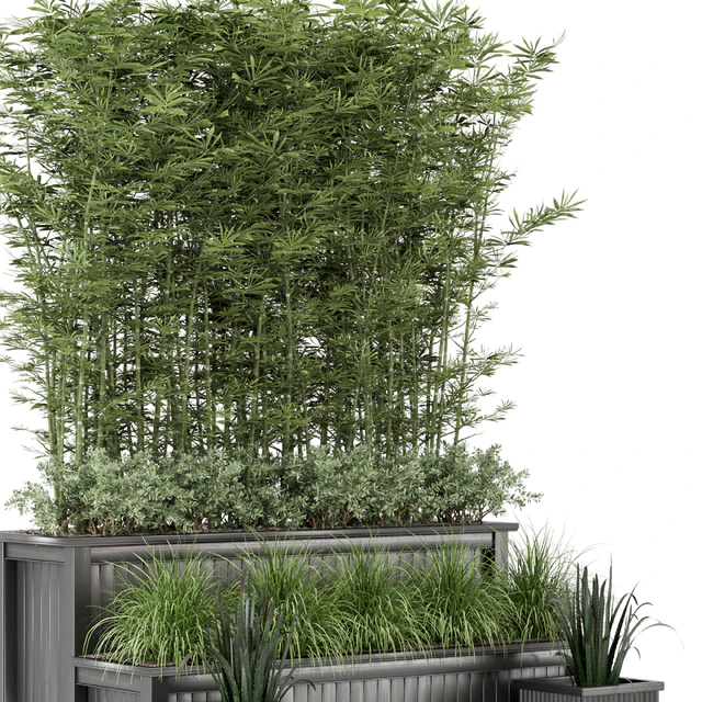 Outdoor Plants Bamboo and bush in Wooden Pot -Set 195 — Скачать