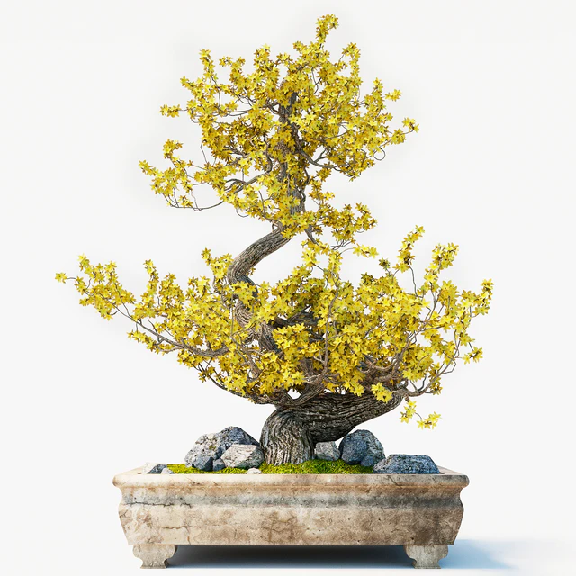 Bonsai — Descargar