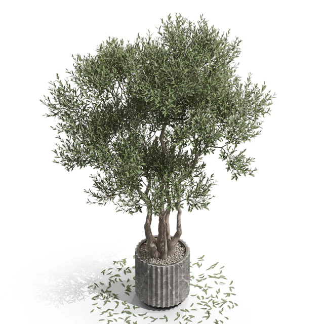 Plants collection 723 — Скачать