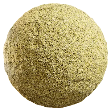 wheat husk 001 — Download