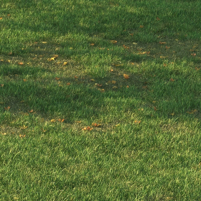 grass011 — Descargar