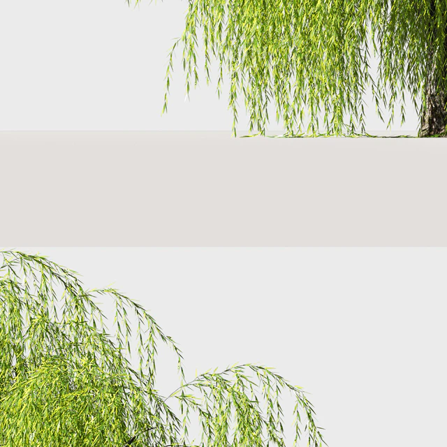Tree Willow — Descargar