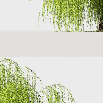 Tree Willow — Ver 3