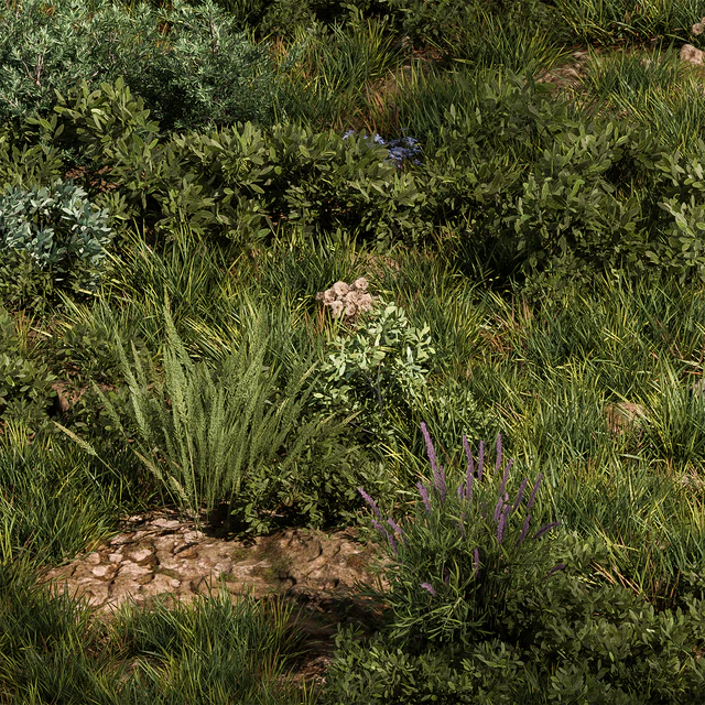 Nature Meadow - Grass Set 30 — Descargar