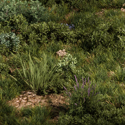 Nature Meadow - Grass Set 30 — Ver 3