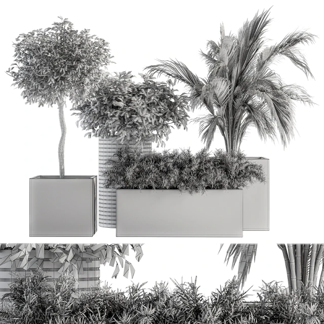 indoor Plant Set 188 - Plant Boxes — Скачать