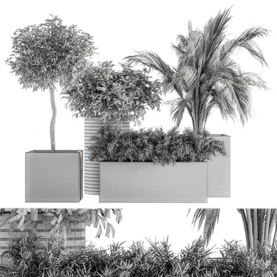indoor Plant Set 188 - Plant Boxes — Вид 3