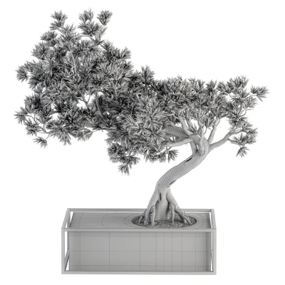 indoor Plant Set 225 - Bonsai Plant — Ver 4