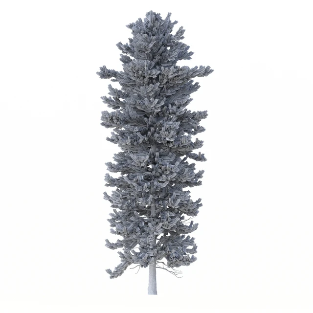 Norway spruce Set 1 Corona — Descargar