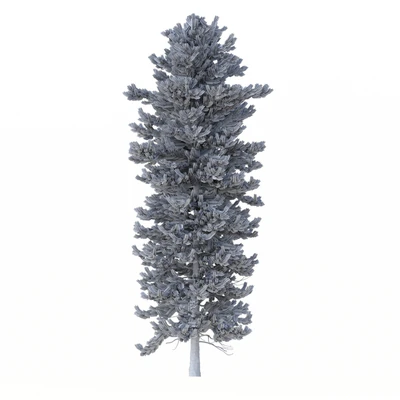 Norway spruce Set 1 Corona — Ver 3