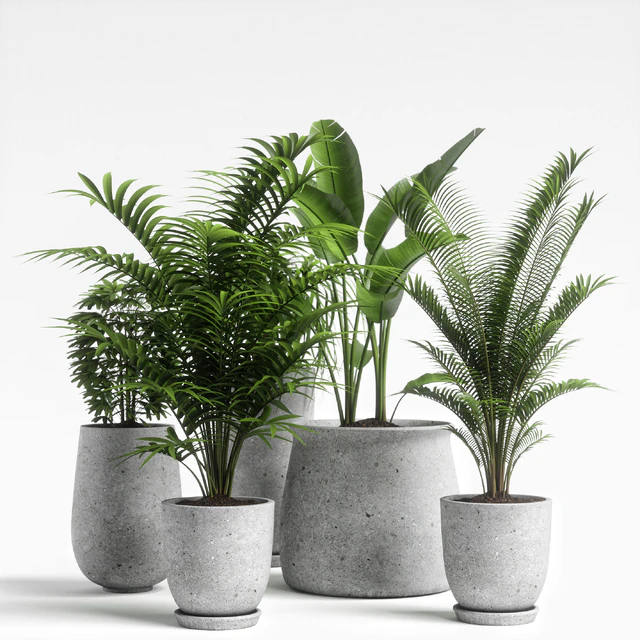 plants set 04 — Descargar