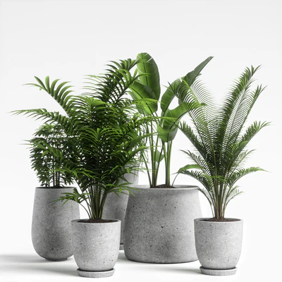 plants set 04 — Ver 2