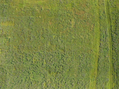 field summer 023 — Скачать