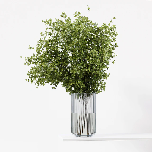 Collection Indoor Plants 041 — Скачать