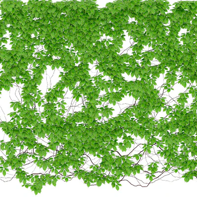 The leaves are a girl's grapes. 6 sizes. v2 — Ver 2