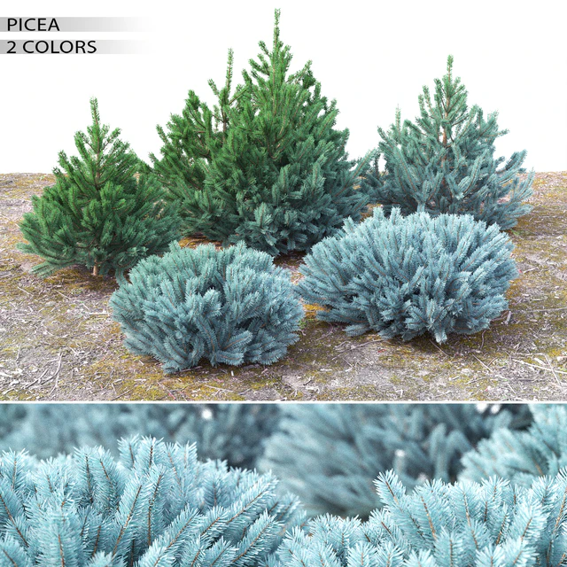 Spruce — Скачать