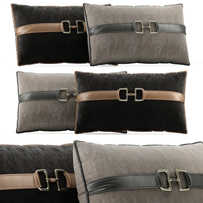 Decorative Pillow # 6 — Ver 1