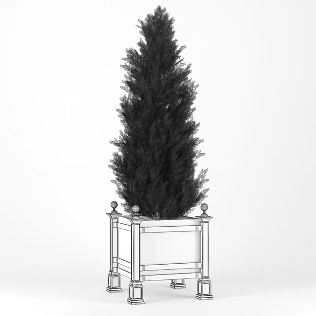 Thuja 3 — Скачать