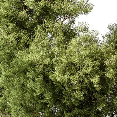 Mixed Plant Bush Set 105 — Вид 2