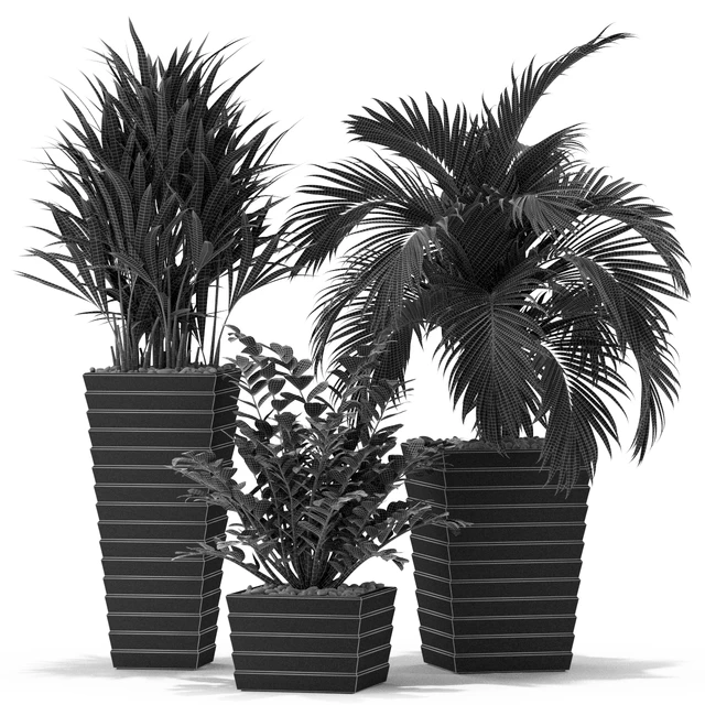 Plants collection 371 — Descargar